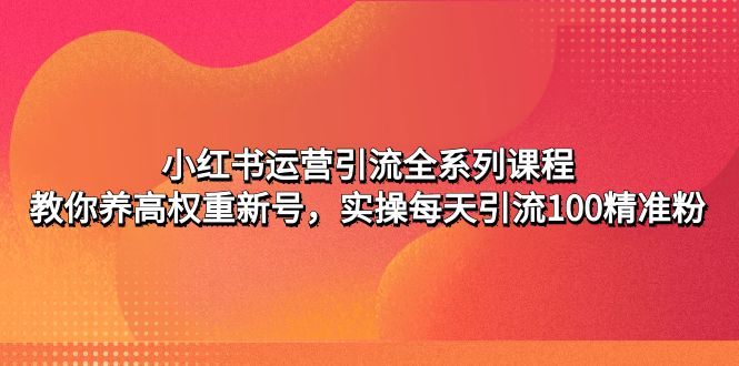 小红书运营引流全系列课程：教你养高权重新号，实操每天引流100精准粉-源码网
