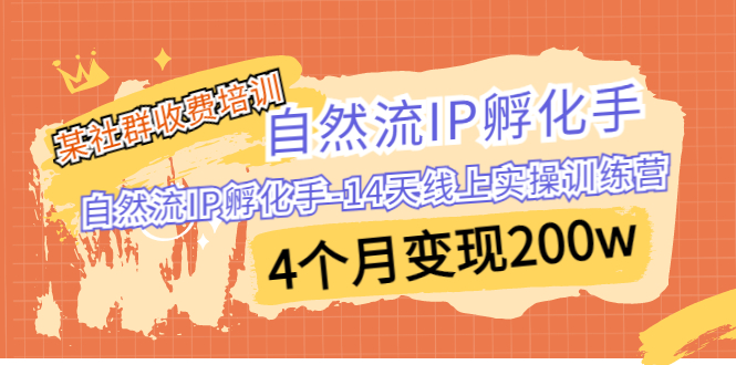 某社群收费培训:自然流IP 孵化手-14天线上实操训练营 4个月变现200w-源码网