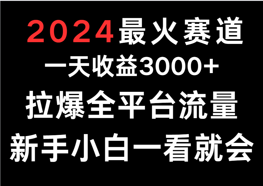 2024最火赛道，一天收一3000+.拉爆全平台流量，新手小白一看就会-源码网