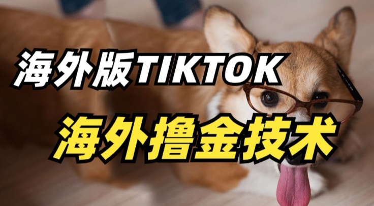抖音海外版tiktok撸金技术，这个风口行业，赚钱真的不难-源码网