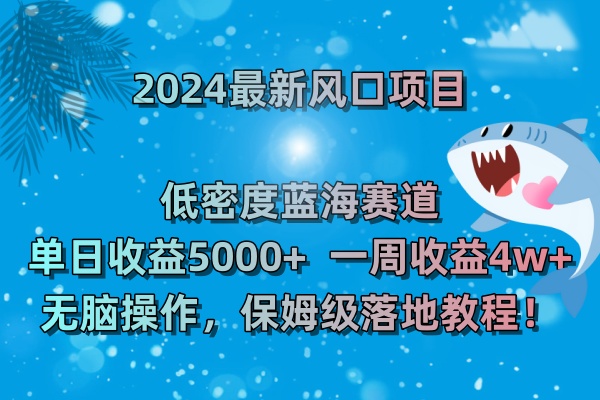 2024最新风口项目 低密度蓝海赛道，日收益5000+周收益4w+ 无脑操作-源码网