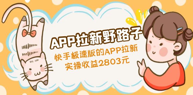 APP拉新野路子：快手极速版的APP拉新赚，实操收益2803元-源码网