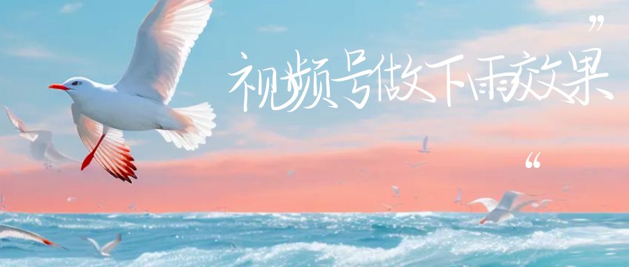 视频号做下雨视频一个账号一周涨粉10W+年入100w-源码网