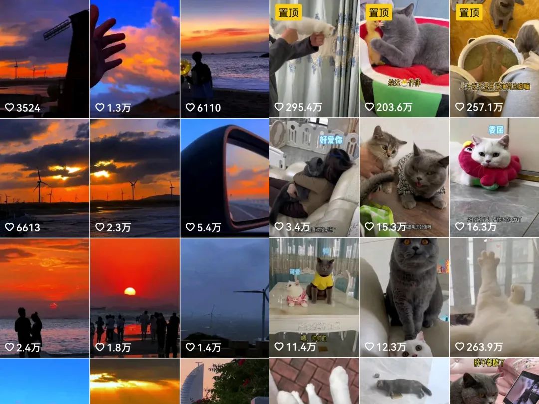 每天收入100+的副业：分享0粉账号变现+育儿直播+百家代书项目思路！-源码网