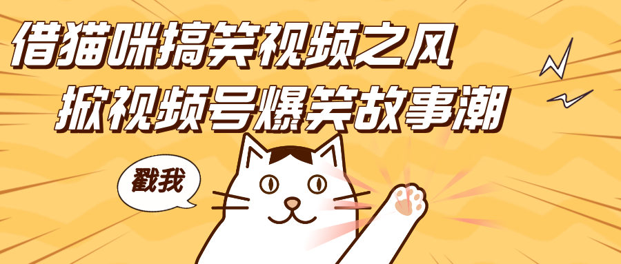 借猫咪搞笑视频之风，掀视频号爆笑故事潮，轻松日赚四位数，开启无门槛赚钱新体验！-源码网