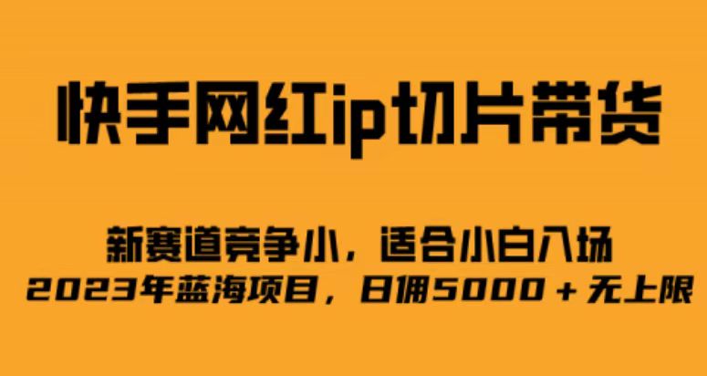 快手网红ip切片新赛道，竞争小事，适合小白 2023蓝海项目-源码网