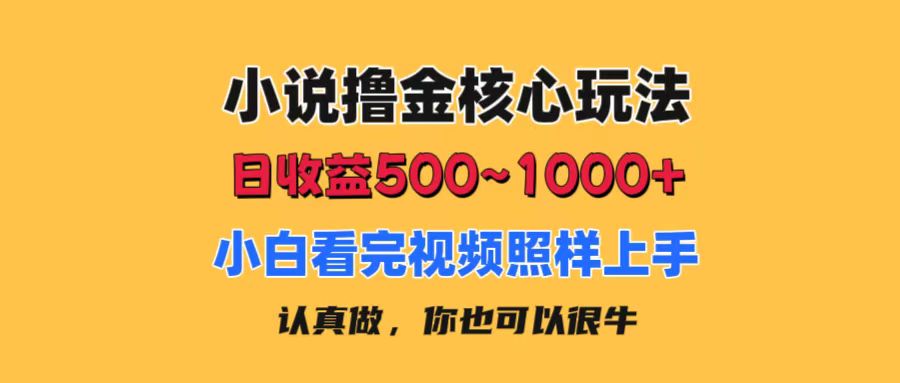 小说撸金核心玩法，日收益500-1000+，小白看完照样上手，0成本有手就行-源码网