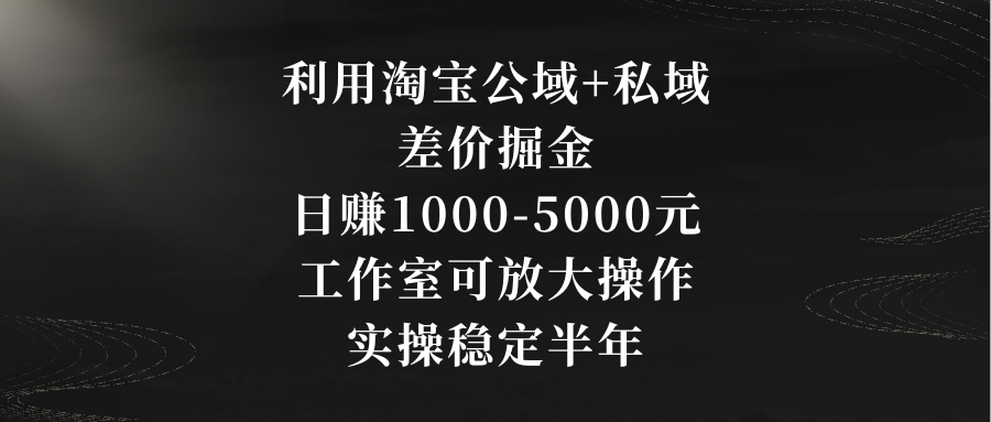 利用淘宝公域+私域差价掘金，日赚1000-5000元，工作室可放大操作，实操…-源码网