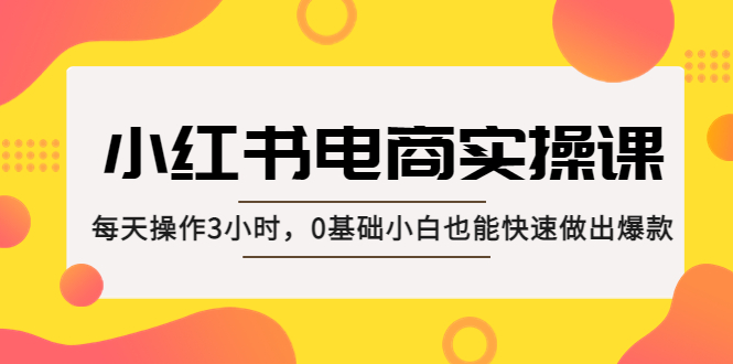 小红书·电商实操课：每天操作3小时，0基础小白也能快速做出爆款！-源码网