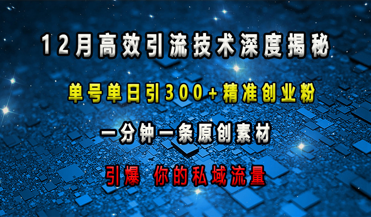 12月高效引流技术深度揭秘 ，单号单日引300+精准创业粉，一分钟一条原创素材，引爆你的私域流量-源码网