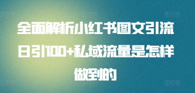 暴力引流 小红书图文引流日引100私域全面拆解【打粉人必看】-源码网