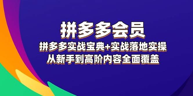 拼多多 会员，拼多多实战宝典+实战落地实操，从新手到高阶内容全面覆盖-源码网